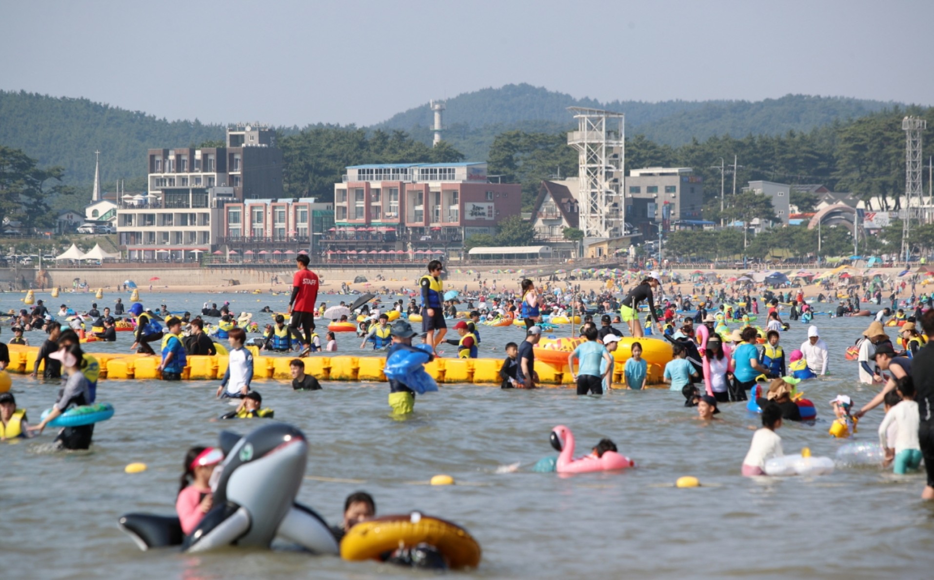 引用:bsnews