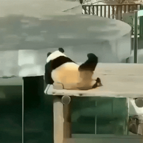引用： instagram_@lovely_panda.tv