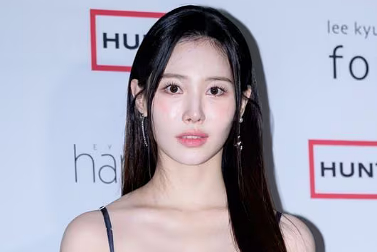 引用:OSEN
