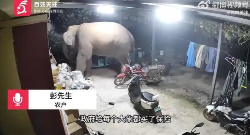 引用：ニューシス