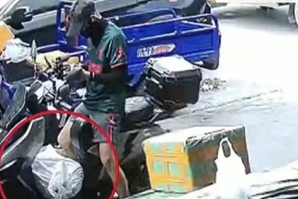 引用：ニューシス