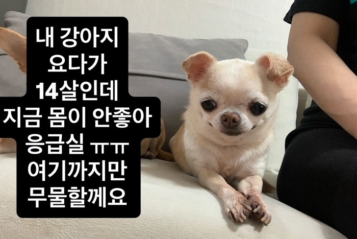引用：Instagram@jihyesharp