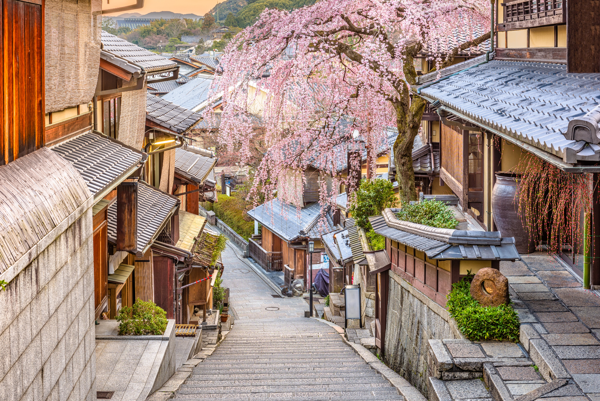 引用:depositphotos*この画像は記事の内容と一切関係ありません