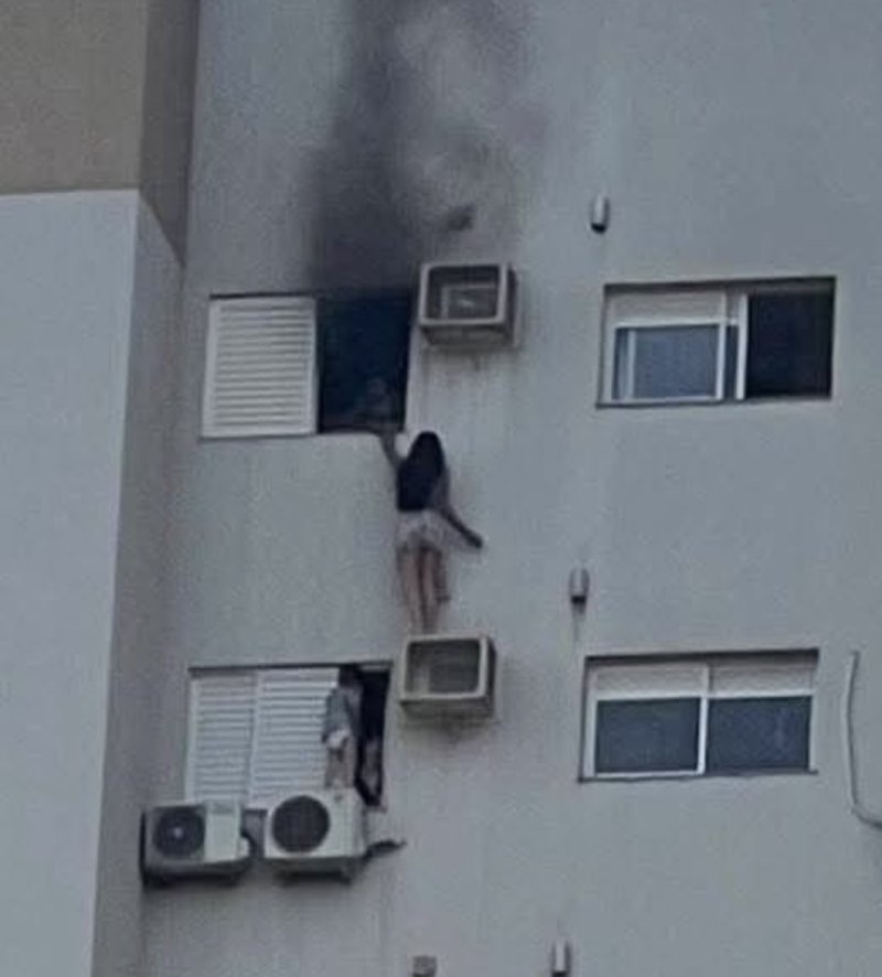 引用:ニューシス