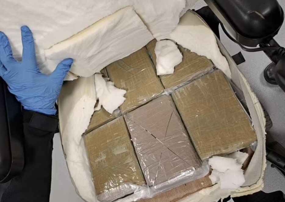 引用: ニューシス