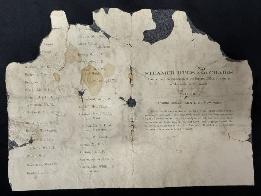 引用:ニューシス