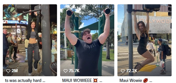 引用:TikTok