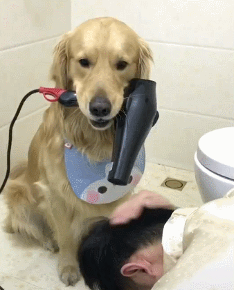 引用：ウェイボー