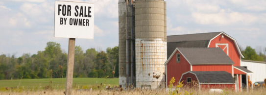 引用:farm policy news