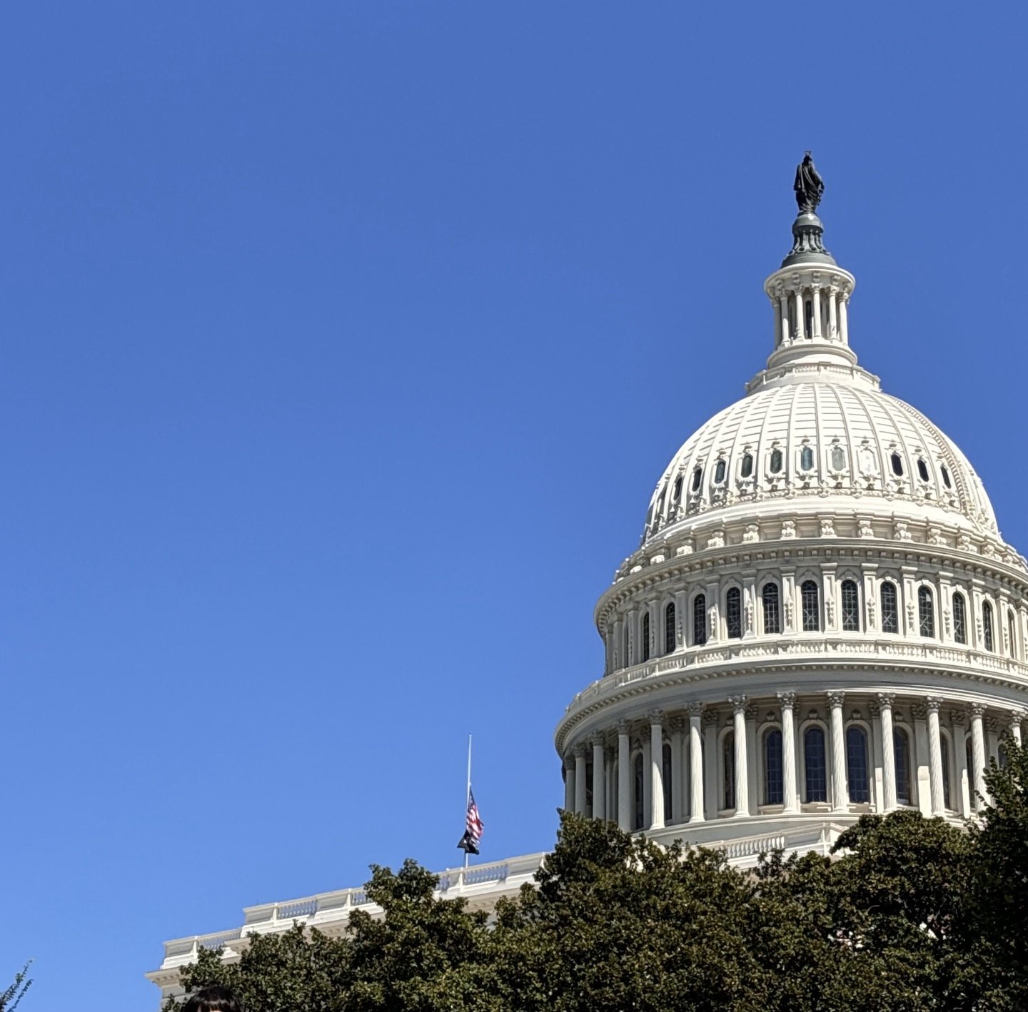 引用:ニューシス