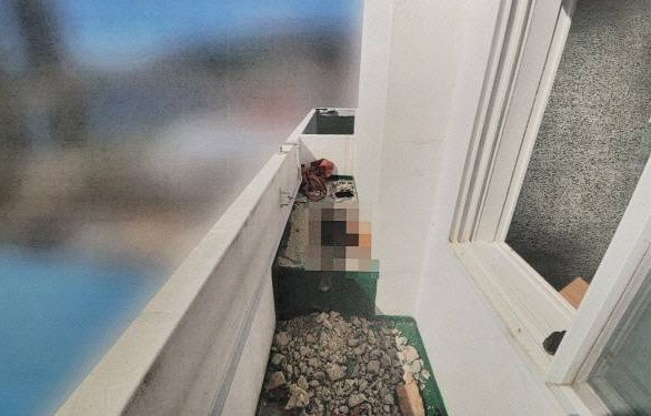 引用：ニューシス