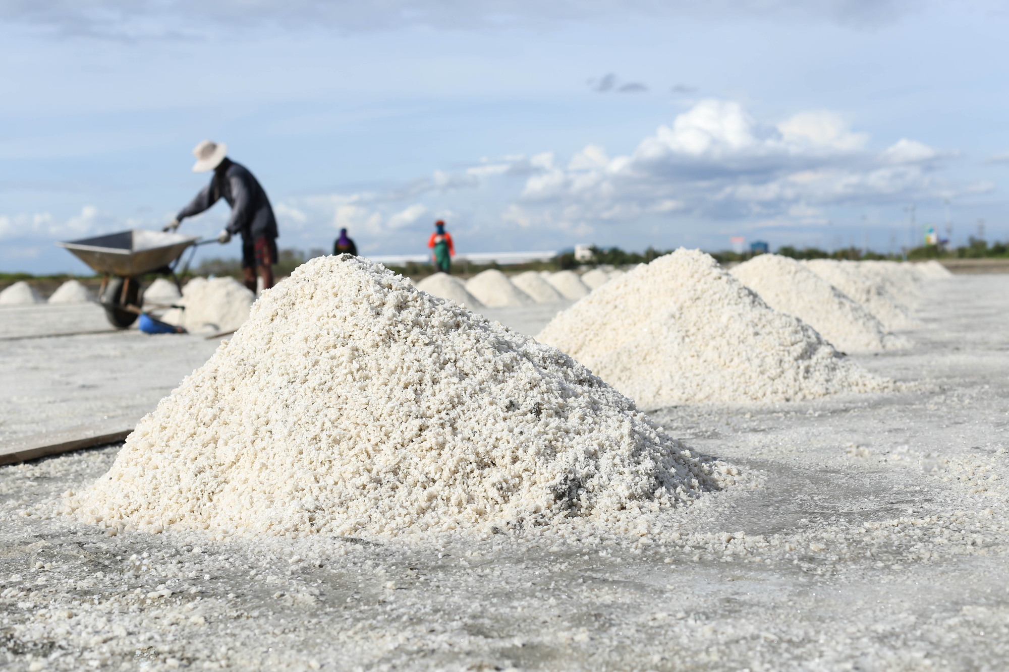 引用:depositphotos*この画像は記事の内容と一切関係ありません