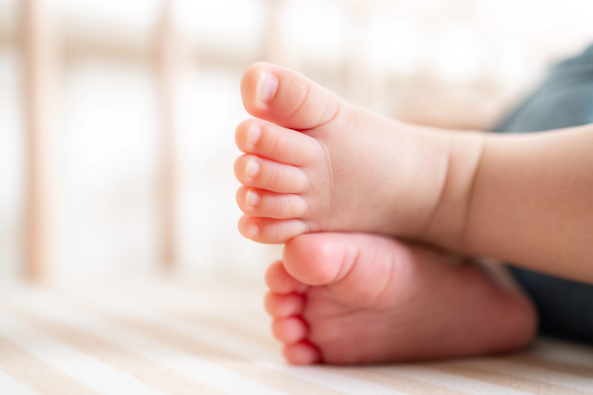 引用:depositphotos*この画像は記事の内容と一切関係ありません