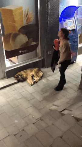 引用：George Papovi