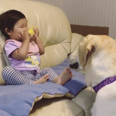 引用:instagram@kawaii_layla