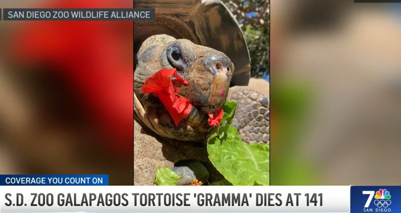 引用：ニューシス