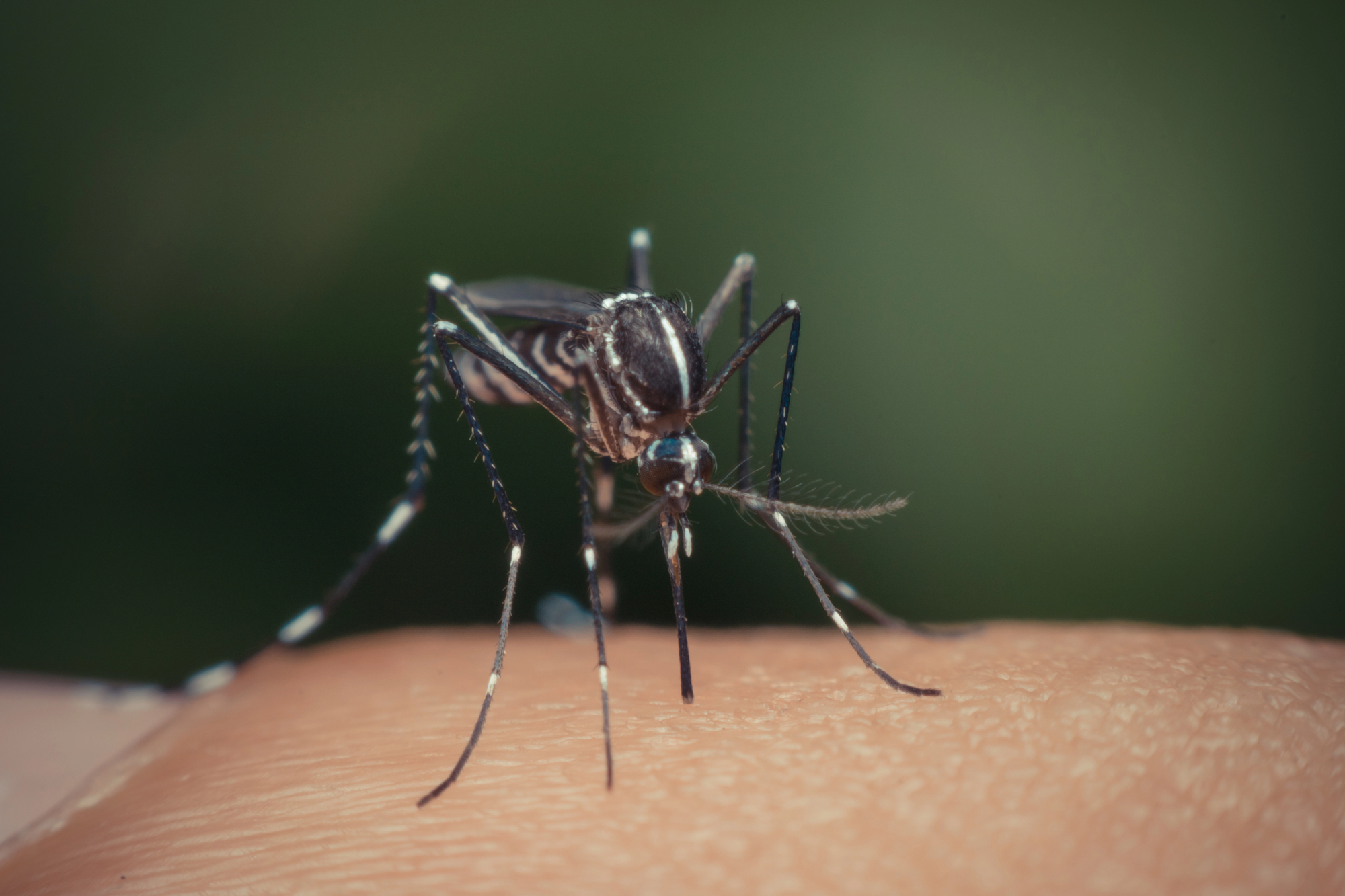 引用：depositphotos*この画像は記事の内容と一切関係ありません