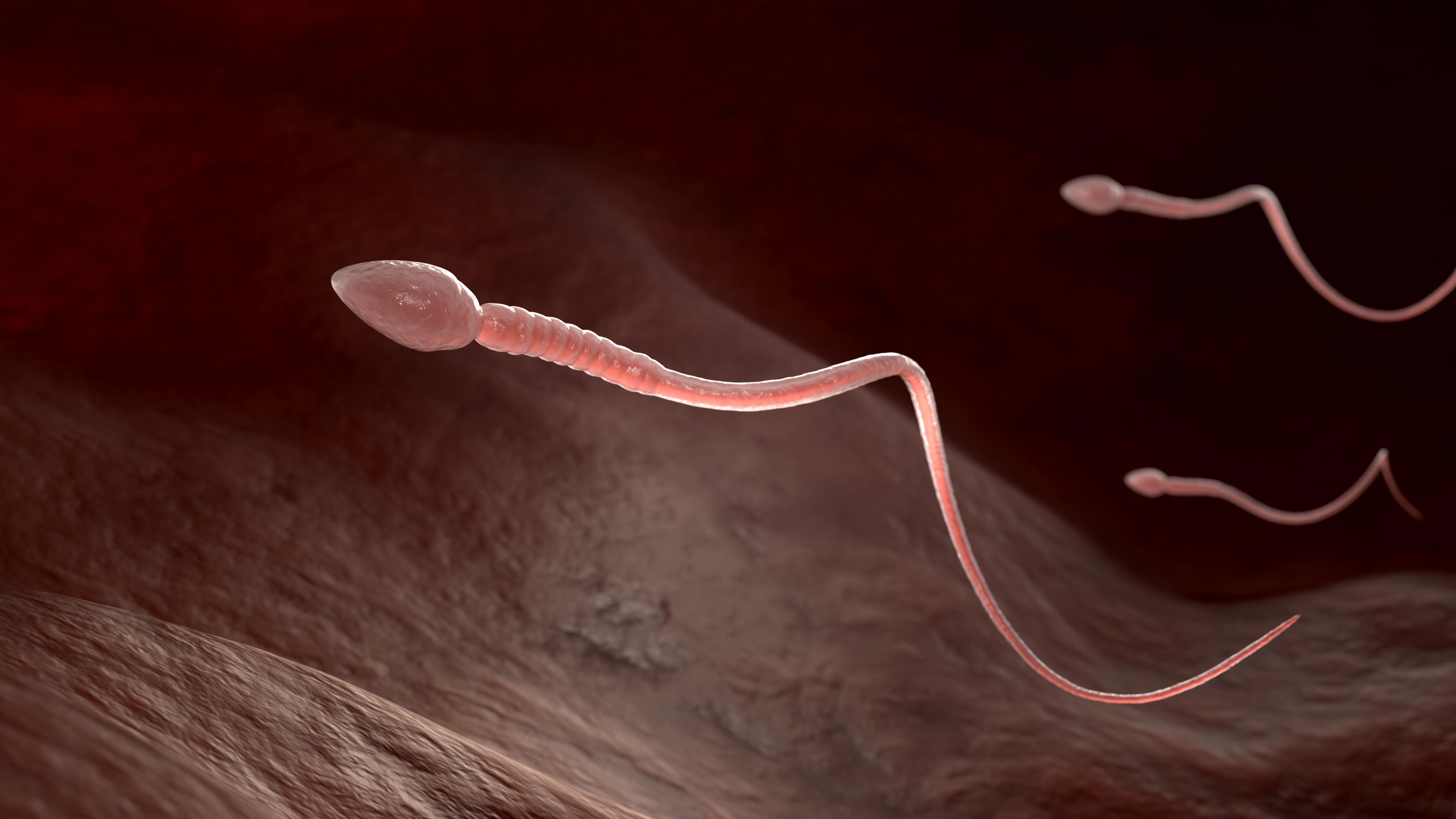  引用：Depositphotos