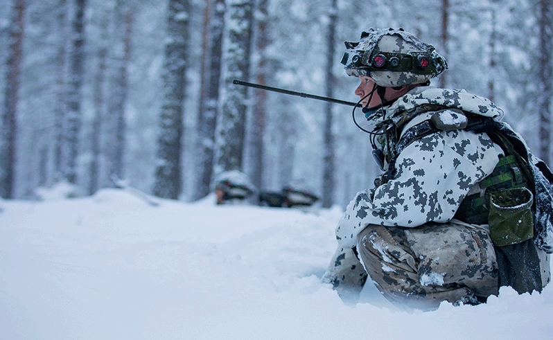 引用：朝鮮日報