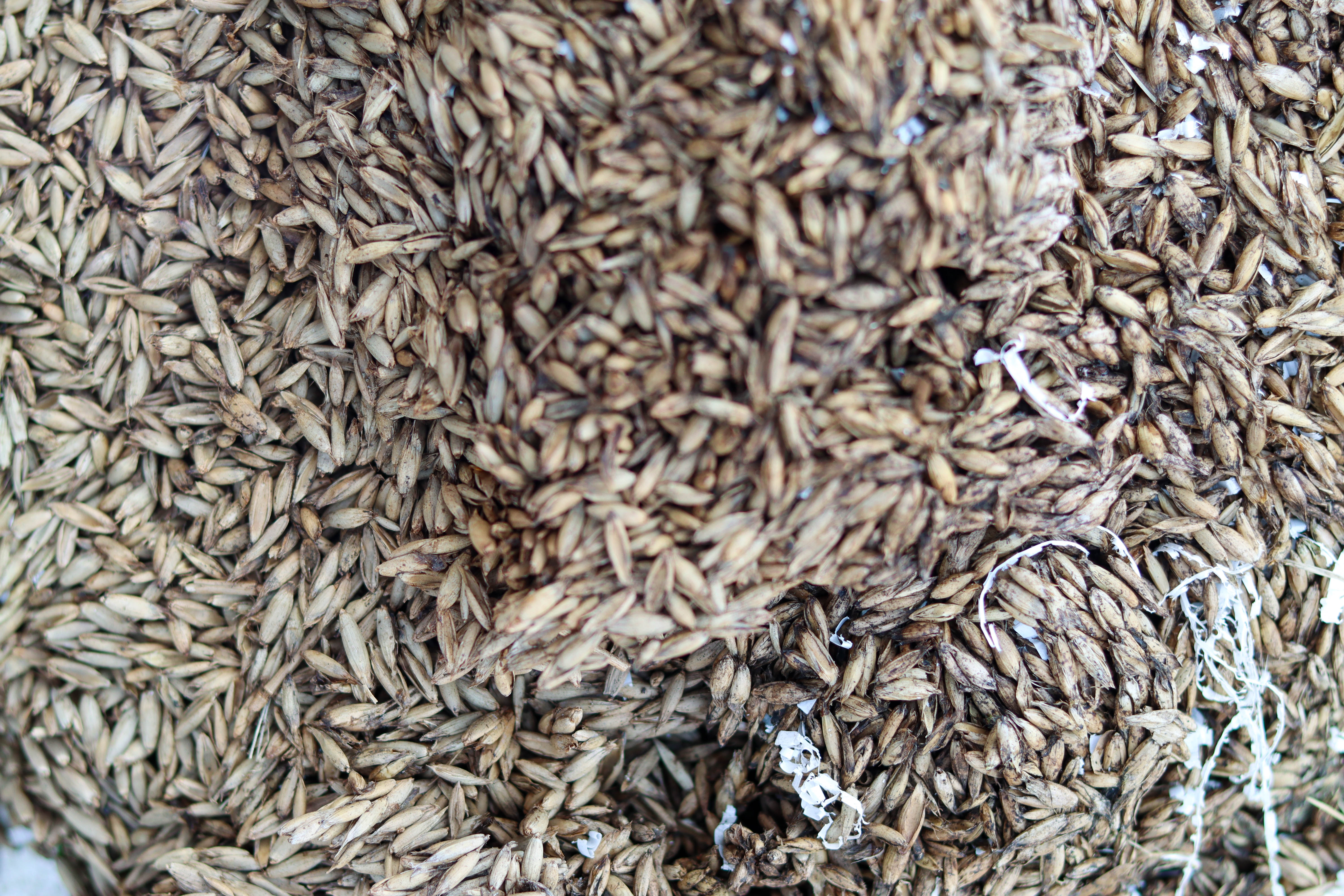  引用：depositphotos