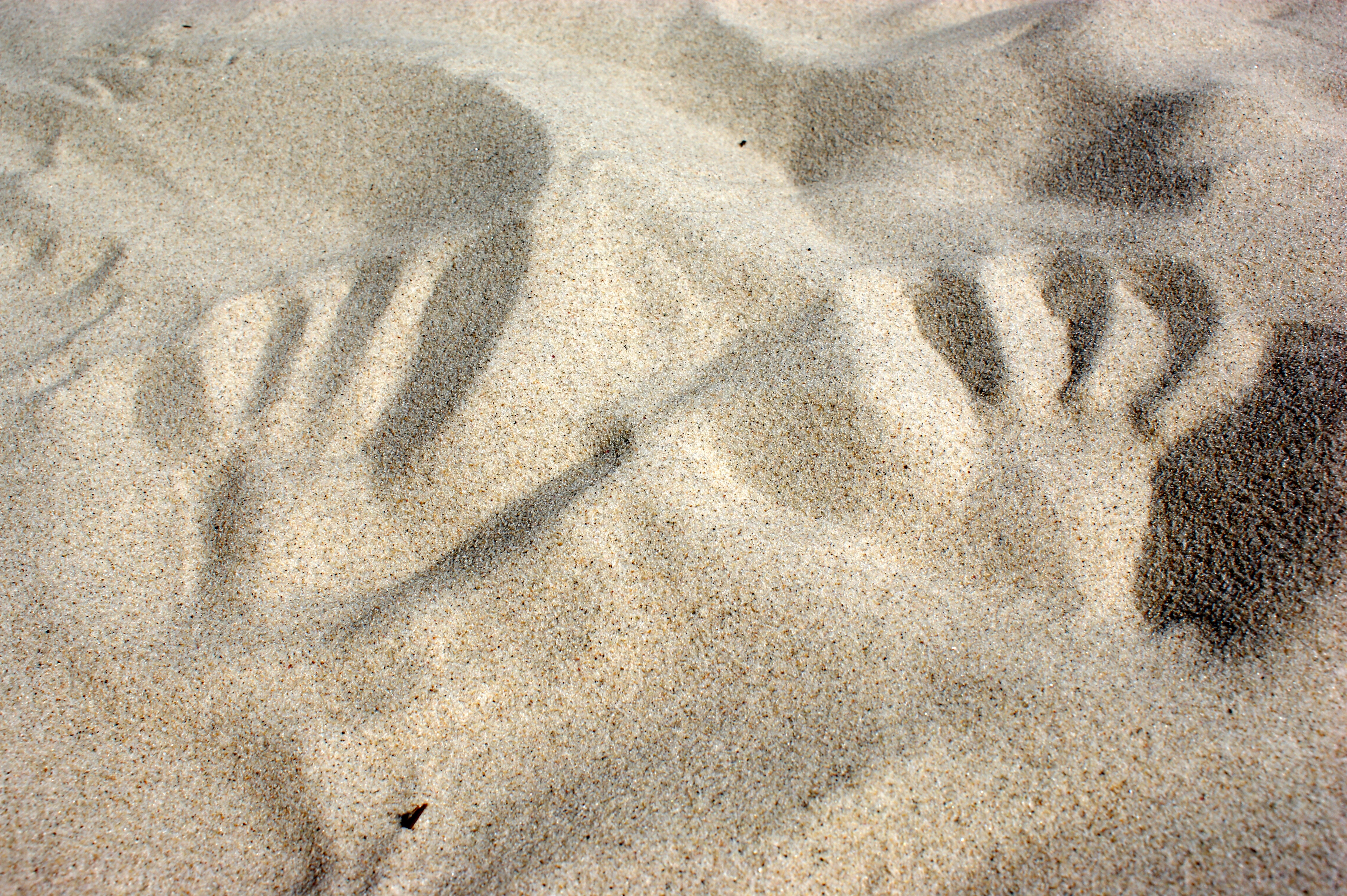 引用：depositphotos