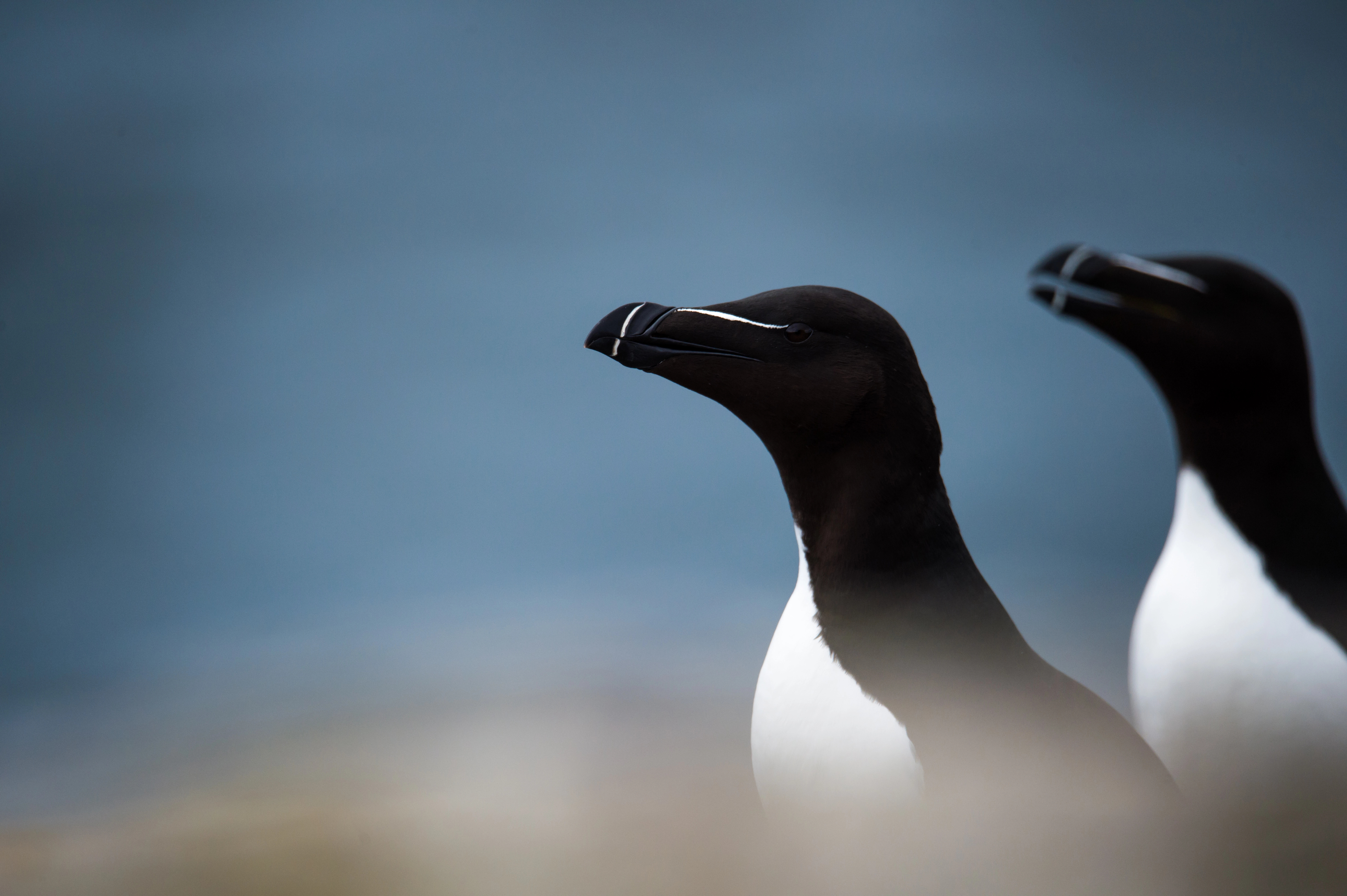 引用：depositphotos