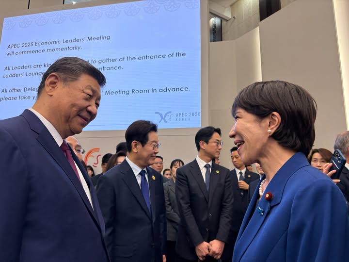 引用：X