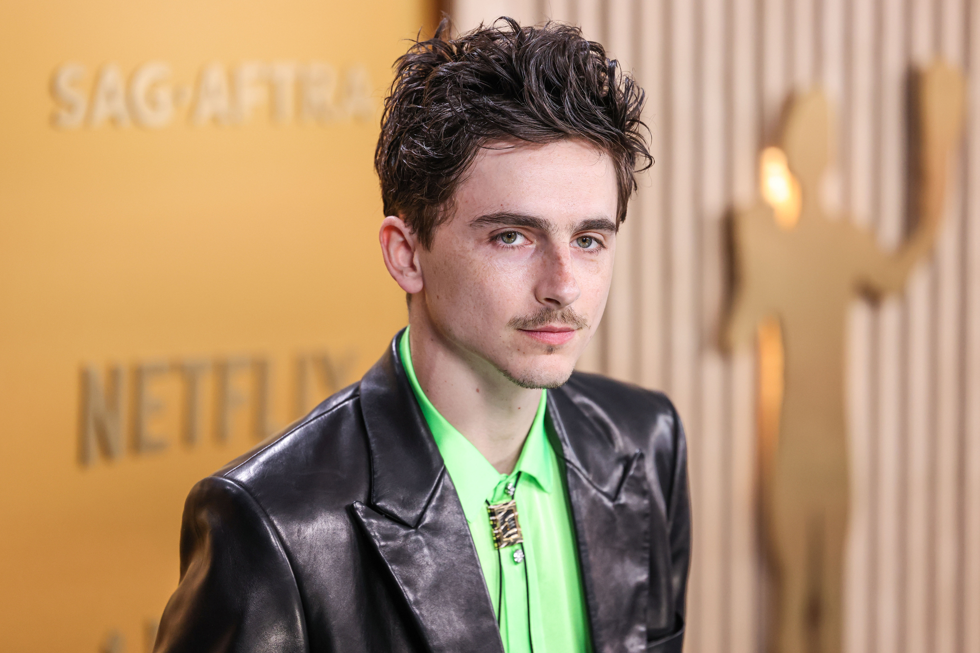 Timothée Chalamet / Credit: DepositPhotos