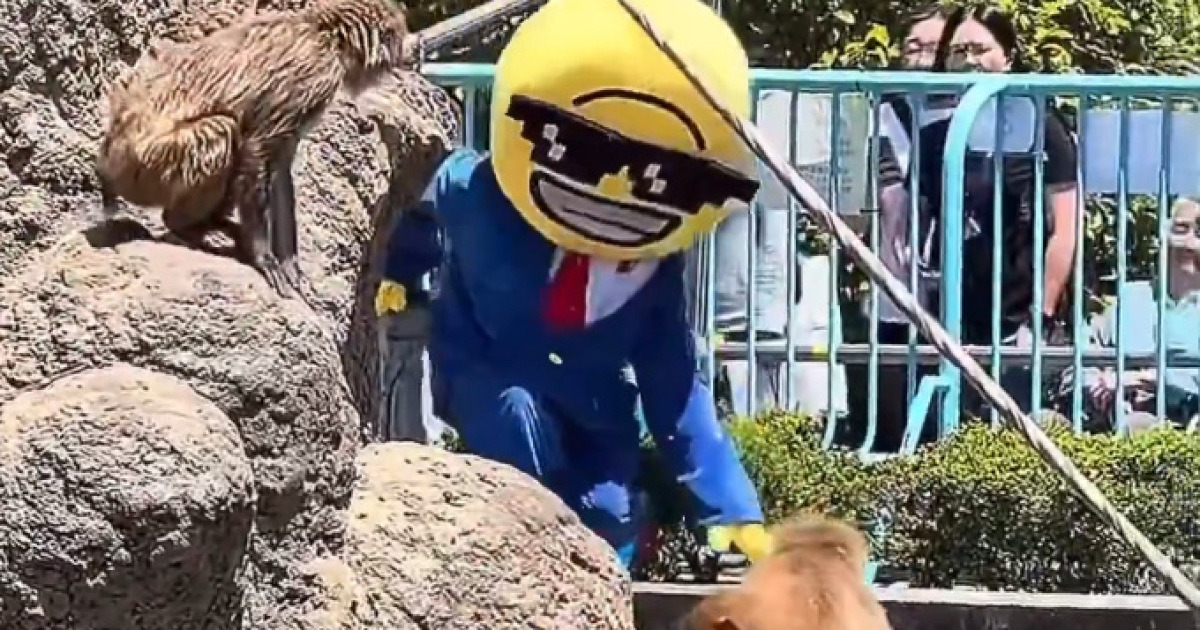 引用：X