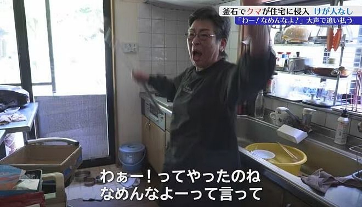 引用：IBS