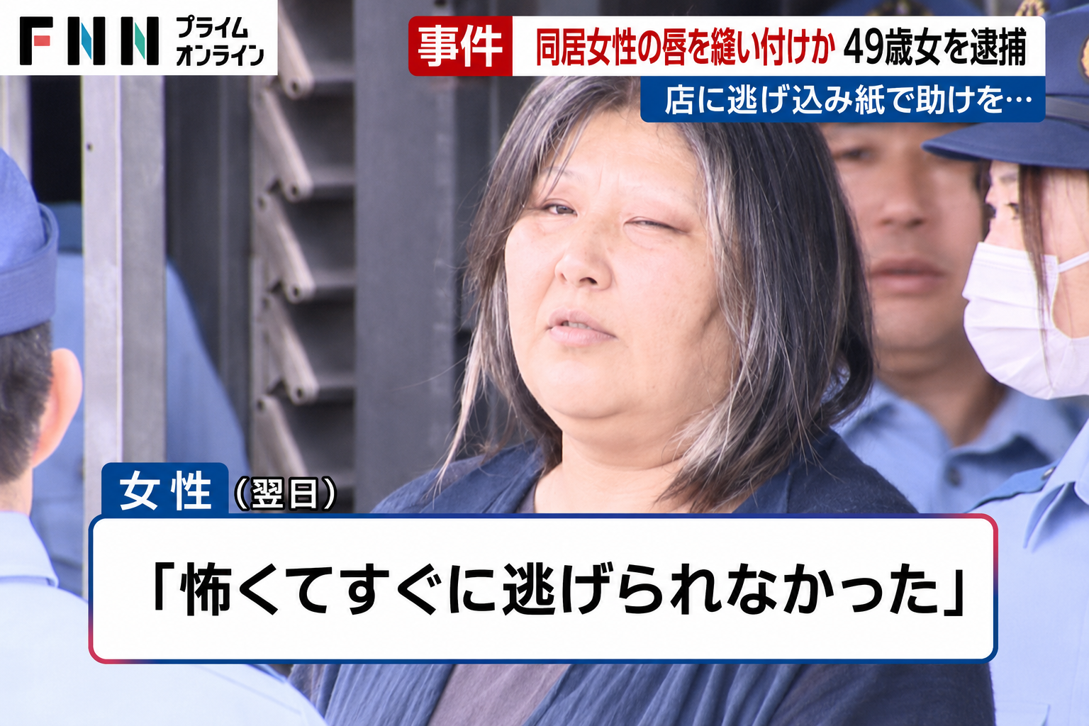 引用:FNN