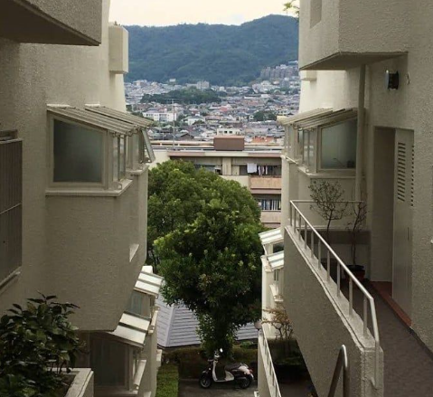 引用:X