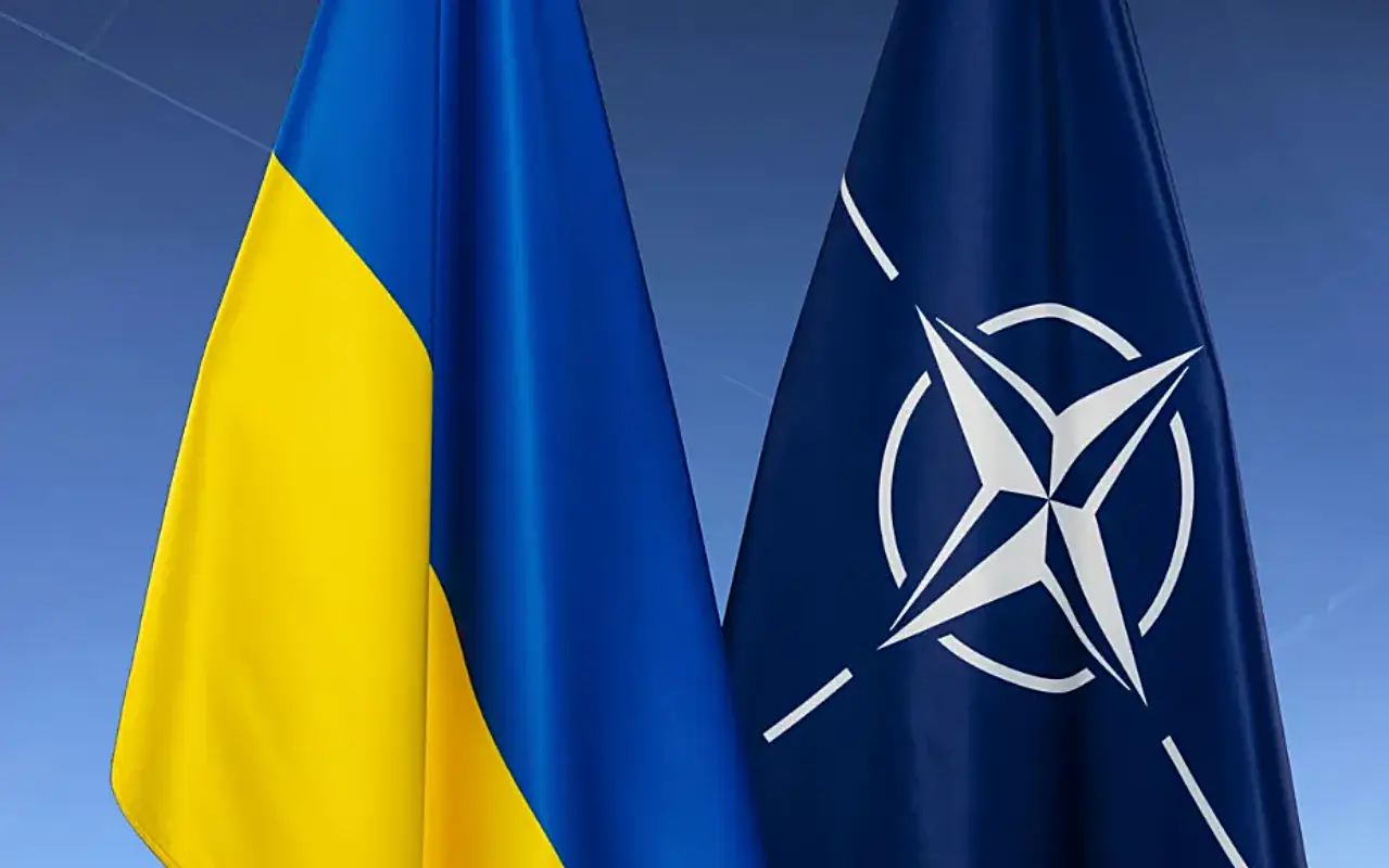 引用:NATO