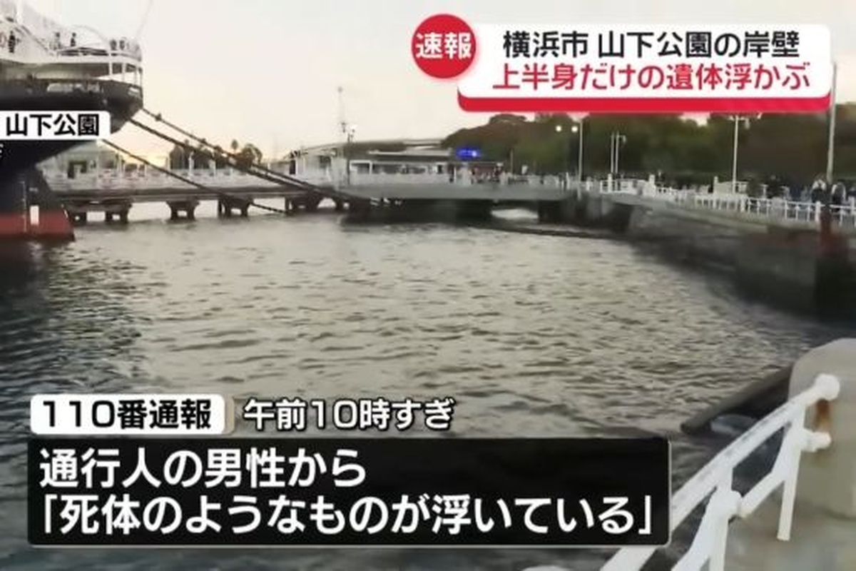 引用:日本テレビ YouTube