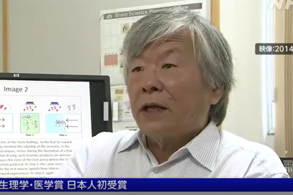 引用:NHK