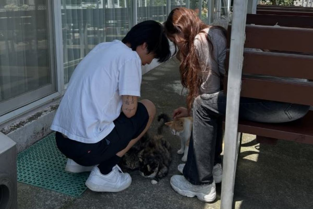 引用:アン・ジュンソンのInstagramアカウント