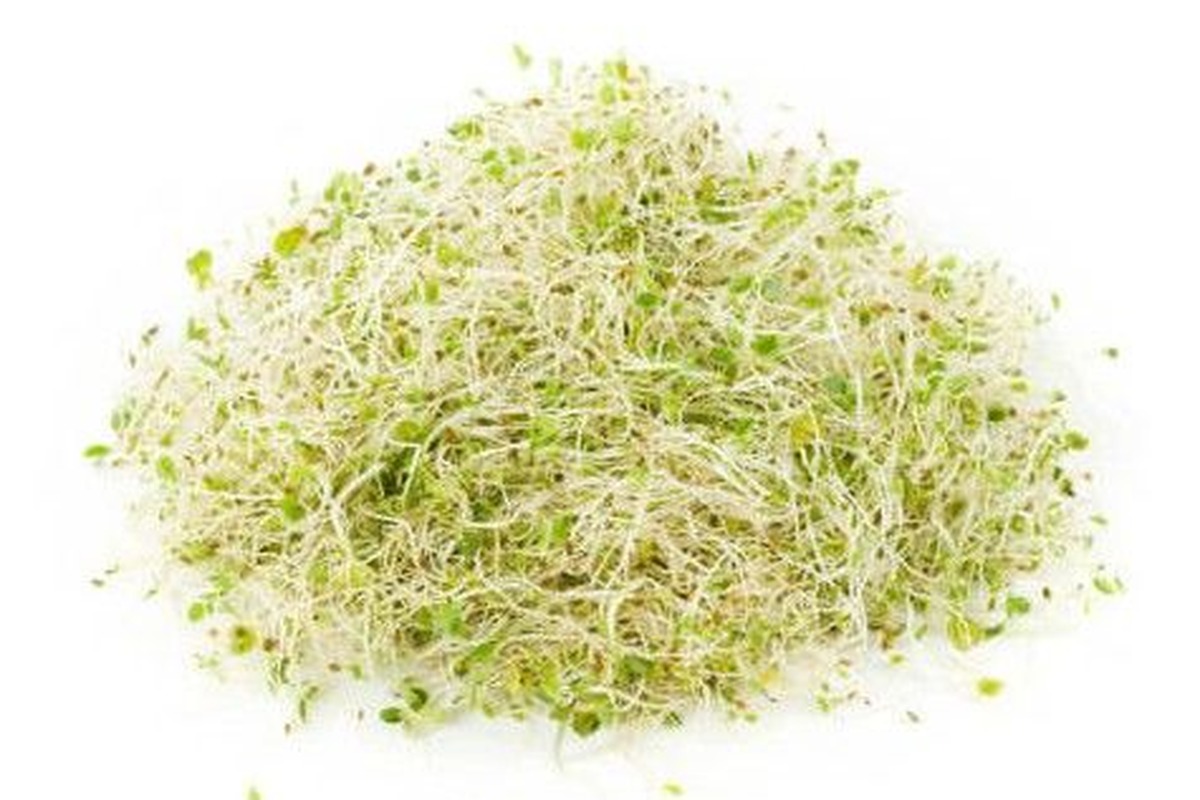 引用:Everything Sproutsの公式ホームページ