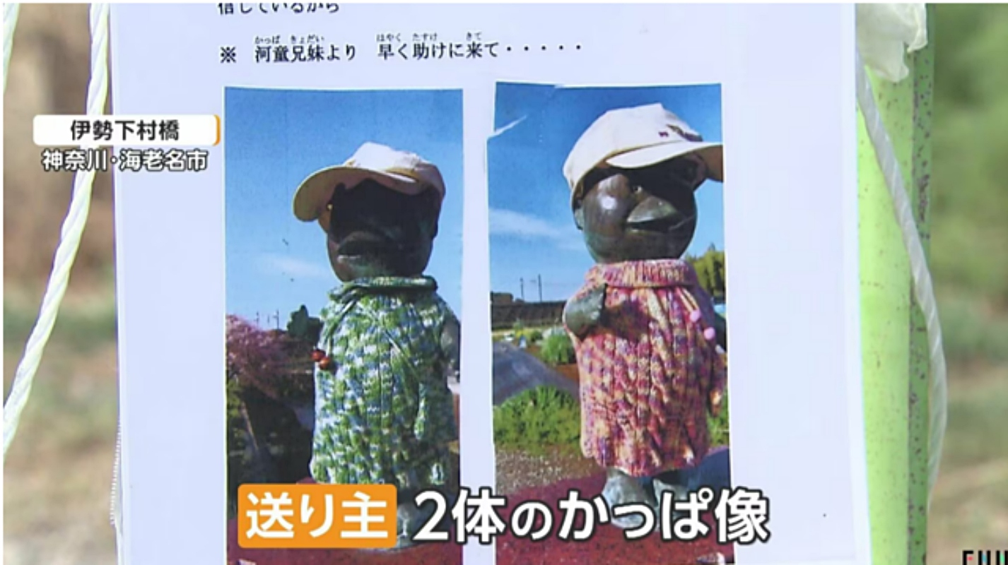 引用:FNN