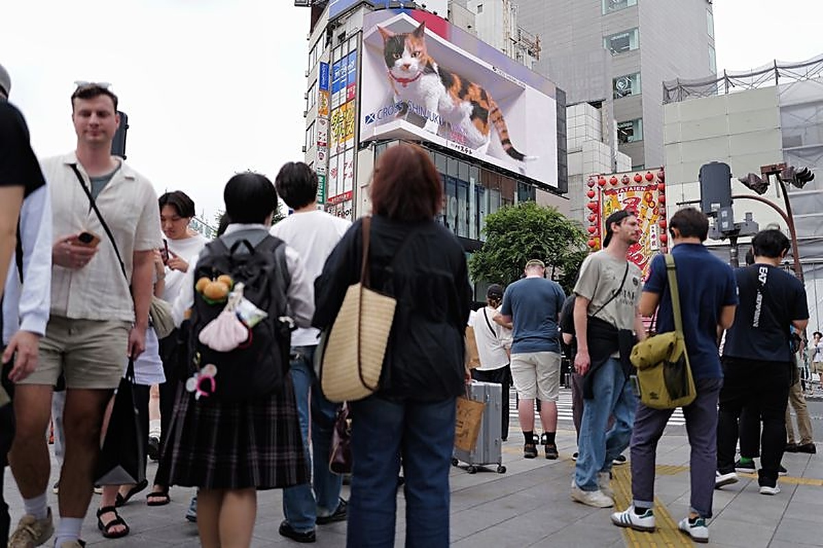 引用：Newsis