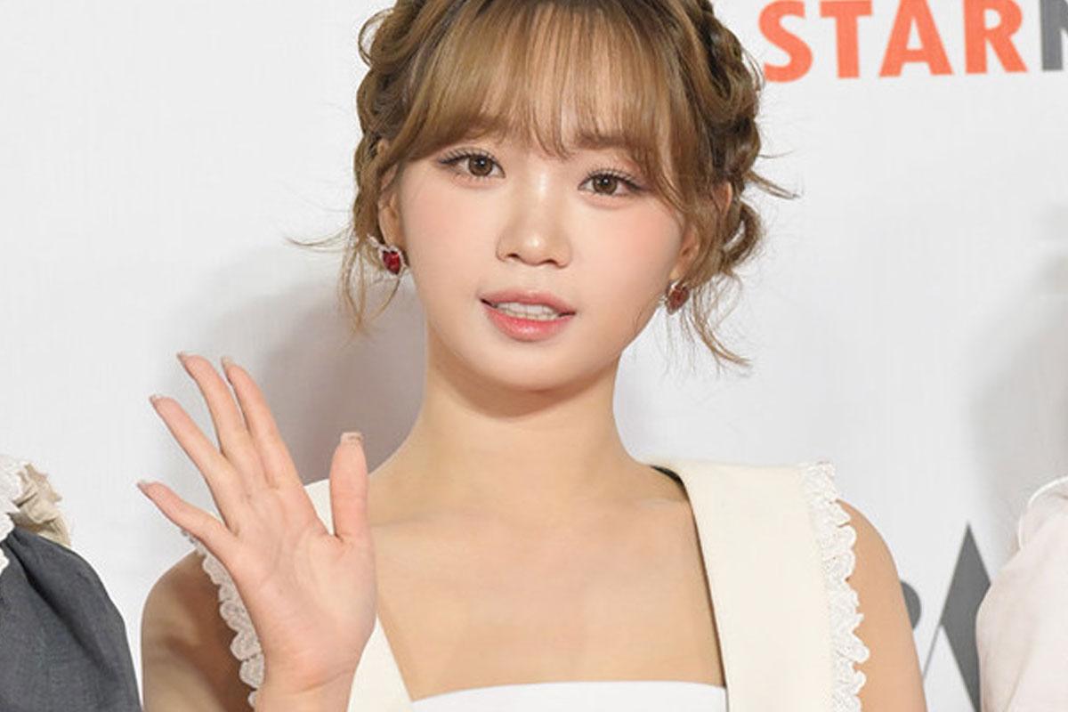 르세라핌 김채원, 목 통증에 활동 중단…당분간 4인 체제 [공식]