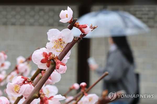 사진=연합뉴스