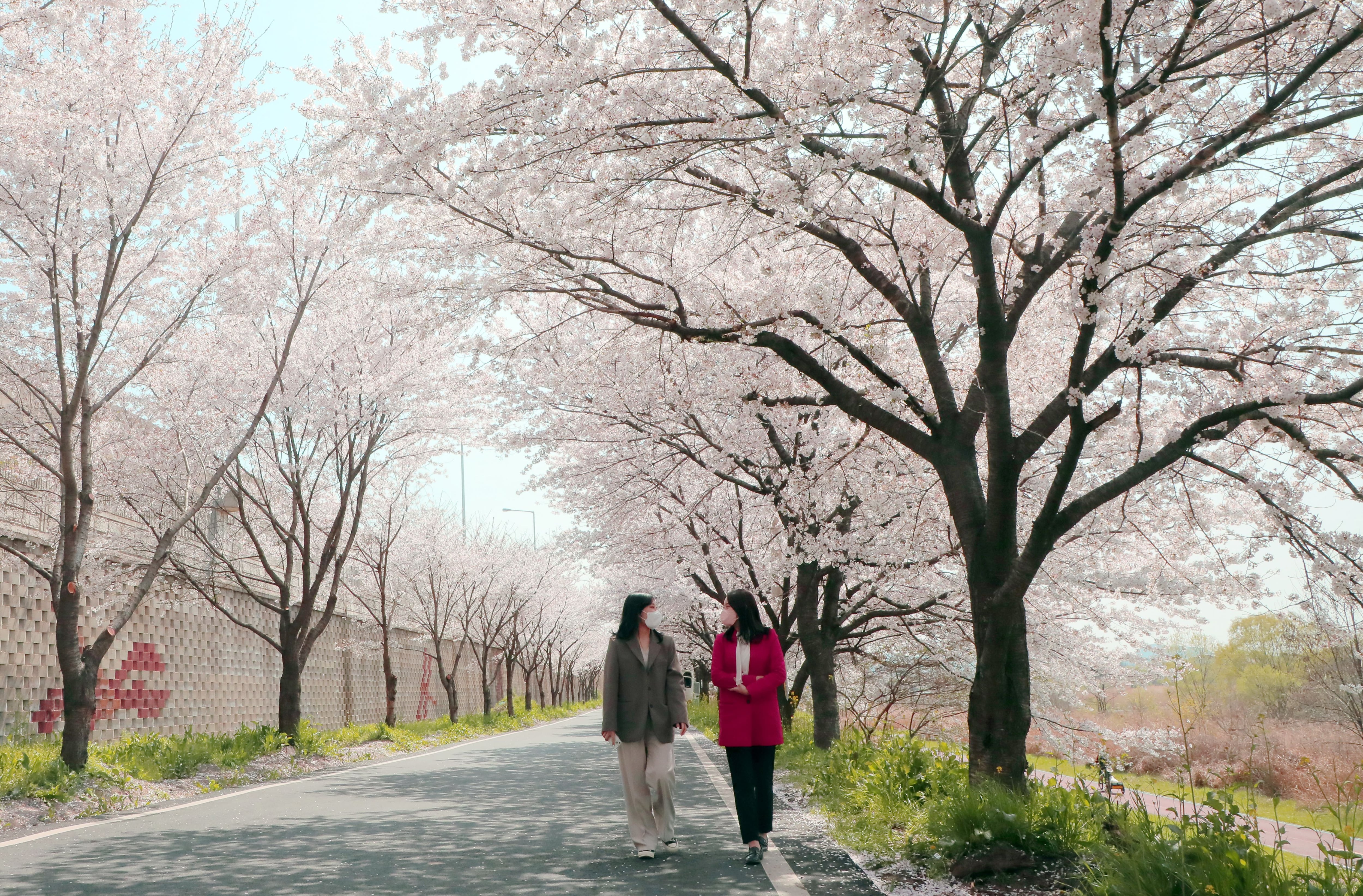 광주 서구 천변길에서 직장인들이 점심시간을 이용해 산책을 즐기고 있다./뉴스1