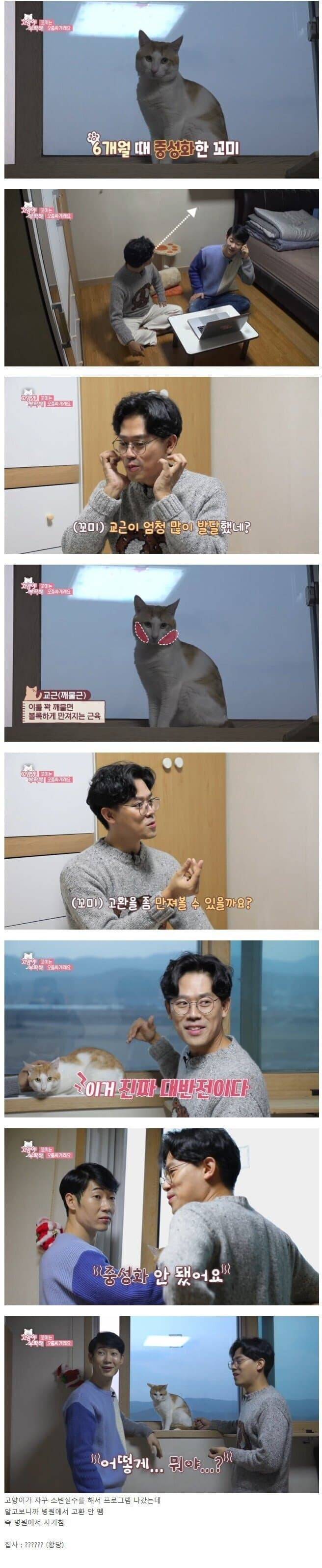 방송도중 밝혀진 동물병원 사기 | 인스티즈