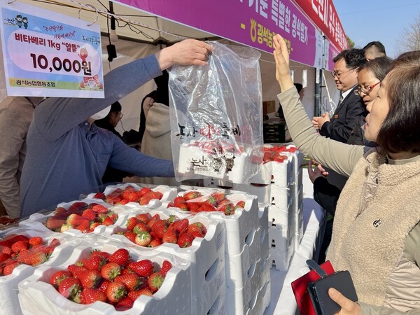 제26회 논산딸기축제 현장 사진 (사진 출처 : 연합뉴스)