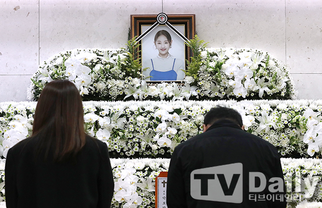 티브이데일리 포토