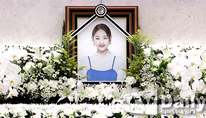 티브이데일리 포토