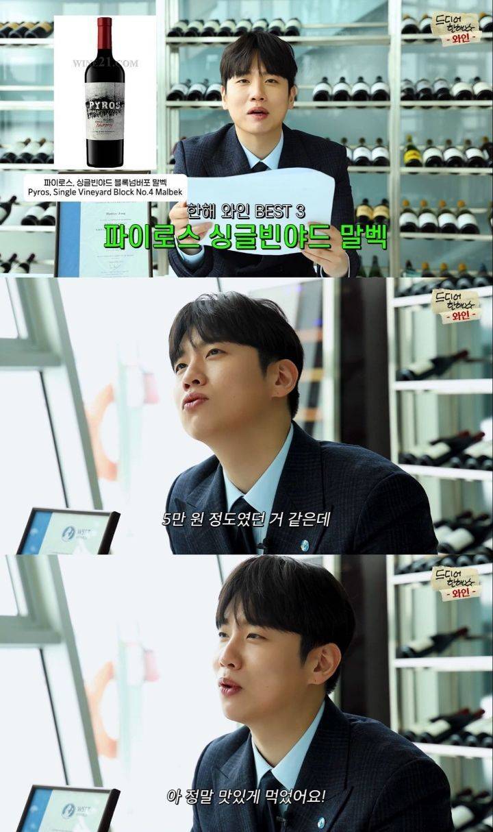 와인먹고 10kg 찐 한해의 와인 추천+Q&A | 인스티즈
