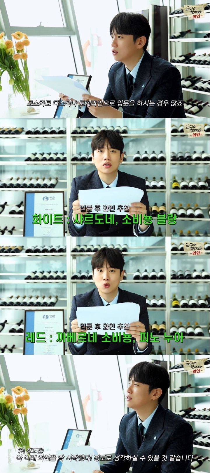 와인먹고 10kg 찐 한해의 와인 추천+Q&A | 인스티즈