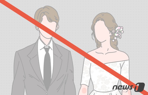 © News1 DB