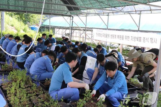 한려해상국립공원사무소와 포스코엠텍 바다지킴이 봉사단이 자생식물 포기나누기 및 분갈이를 하고 있다.(한려해상국립공원 제공)